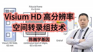 【陈巍学基因】视频125：Visium HD 高分辨率空间转录组技术