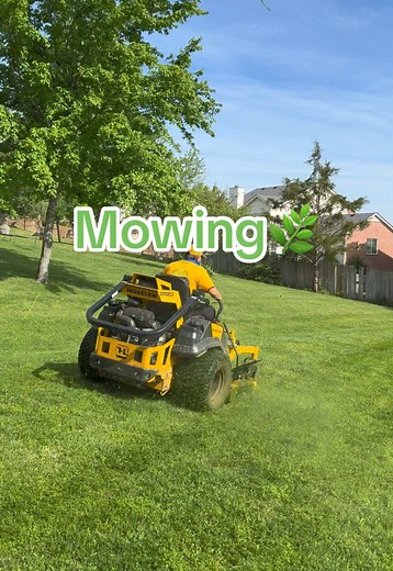 Expert Lawn Care Tips for Effective Mowing
