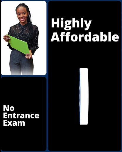 Prepare for leadership roles with an online MBA. No resume or GMAT required. Choose from 10 options. Free foundation courses. | USC Aiken