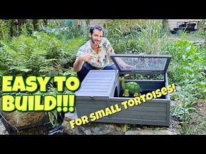 Aivituvin Small Tortoise Setup and Review!!