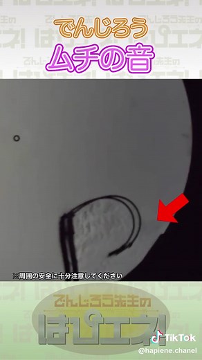 ムチを使った音の科学実験