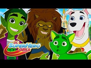 Lions and Tigers and Beast Boy, Oh My! | DC Super Hero Girls