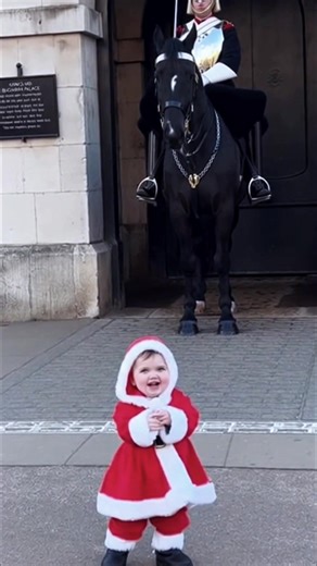 Respect moment king guard horse #respect #kingguard #royalguard #buckinghampalace #fyp