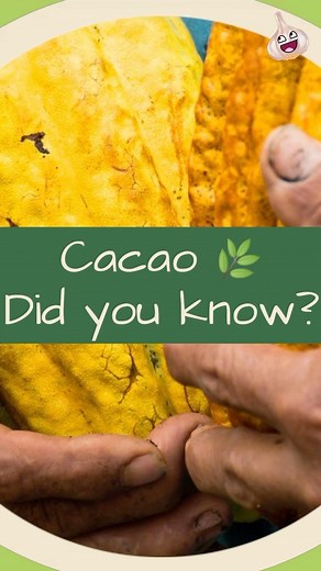 The Benefits of #Cacao | The Food Glossary | Facebook
