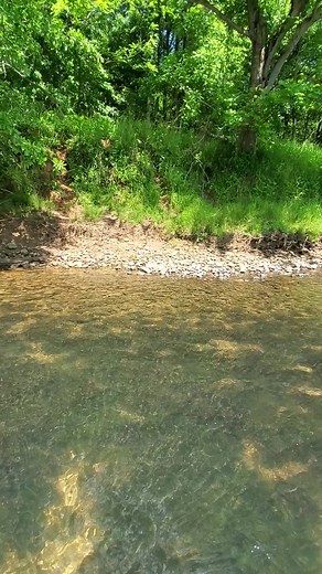11K views · 803 reactions | ✅️ That off the bucket list for Brandon. His first civil war button in the  #metaldetecting #civilwar #relics #treasure #history | Zach Byrd Adventure Hour | Facebook