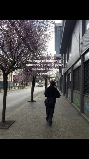 Funny Dog Barking Meme on TikTok