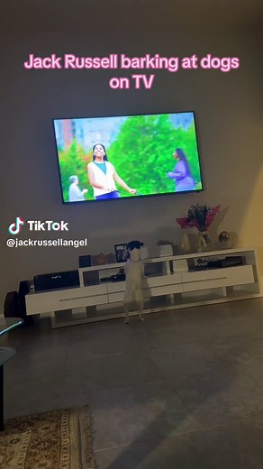 Jackie (Angel) Russell on TikTok