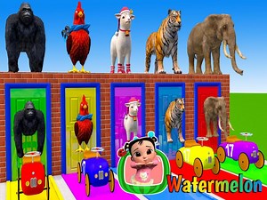 481K views · 4.7K reactions | Aprende los colores para bebés con un juego de tobogán largo con elefante, gorila, búfalo, hipopótamo y tigre - Animales adorables | Canciones infantiles de Watermelon Videos infantiles | Dibujos animados infantiles | Educación para niños . . . . . canciones infantiles dibujos animados para niños aprender colores #kids #leararncolors #song #fyp #reels | Watermelon - Canciones infantiles | Facebook