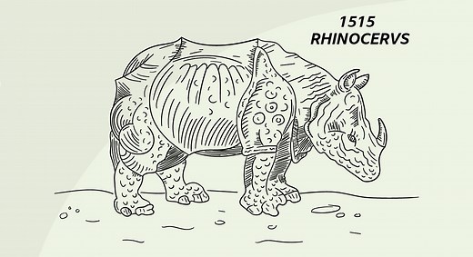 Who was Albrecht Dürer? | KS2 Art and Design | Primary - BBC Bitesize