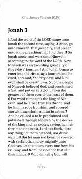 Book of Jonah Chapter 3 KJV | Jonah Preaches to Nineveh | Audio Bible