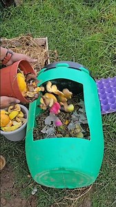 How to compost organic waste at home 🌱♻️ #plants #agriculture