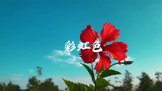 Iphone 11 quay phim mạnh đến mức nào nếu có Blackmagic 😁 #iphone #iphone11 #blackmagiccamera #viral #fyp