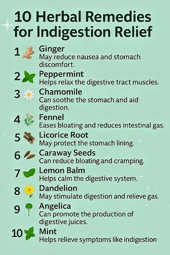 🌿 10 Herbal Remedies for Indigestion Relief | Natural Stomach Healing After 60