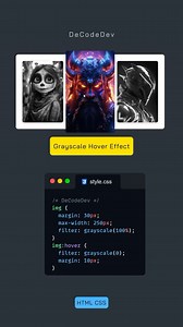 2.9K views · 731 reactions | Grayscale Hover Effect in CSS ✔︎✌︎ Frontend development, web development, HTML, CSS, JavaScript, React #webdev #frontenddev #learntocode #javascript #reactjs #codinglife | De.code.dev | Facebook