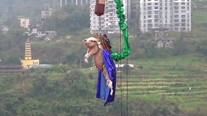 Pig forced to bungee jump in Chinese theme park stunt