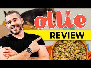 Ollie Dog Food Review | Is It The Best Fresh Dog Food?