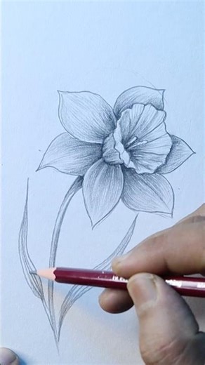 FREE 60-Day Drawing Course 🎨 - 25 Pencil Shading Technique #drawing #sketch #shortsfeed #shading