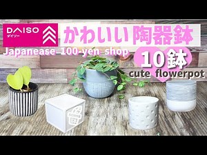 Introducing stylish ceramic flowerpots from Japanese 100-yen shops!【houseplant】【succulents】
