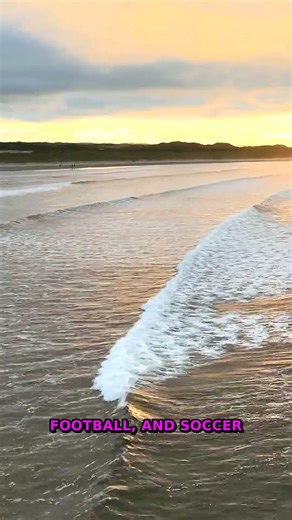 Sports Highlights Reels | Daily Updates For Fans | 2025