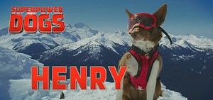 16K views · 185 reactions | Go behind the scenes with Henry, an...