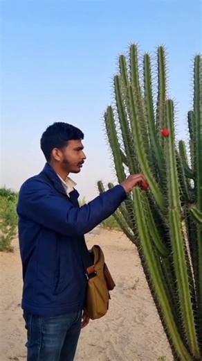 Fevicol that saves my lives part - 3 😱