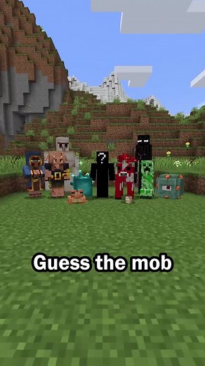 Guess the Minecraft Mob in 60 Seconds Challenge
