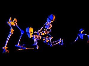 Guillaume de la Chapelle - Le tango des squelettes