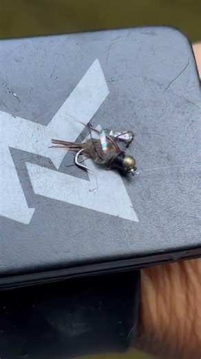 Hare’s ear fly immitates so many aquatic bugs. On a sunny day, throw a sparkling ribbon around