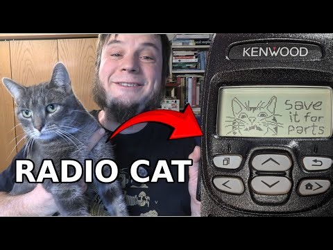 I Put My Cat On The Radio! (Programming Surplus Kenwood NX-200G Handhelds)