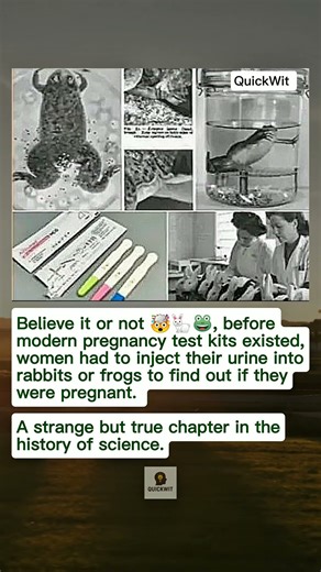 Before Test Packs: Pregnancy Tests Using Rabbits and Frogs