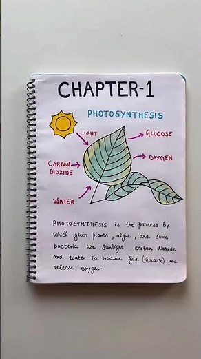 Follow These Tips to Become a Topper and Score Highest Marks🔥#studytips #study #exam