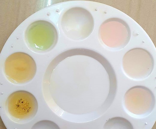 Onion Natural PH Indicator