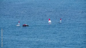 View of three training boats, Laser Performance Boats, Laser Bug and Bug Race in Monaco.