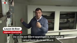 620K views · 1.9K reactions | Dit nieuwe vissersschip moet ervoor zorgen dat vissen minder pijn lijden. Zodra ze zijn gevangen, worden ze met elektrische schokjes verdoofd. Daarna pas worden ze verwerkt. → nos.nl/l/2308533 | NOS | Facebook