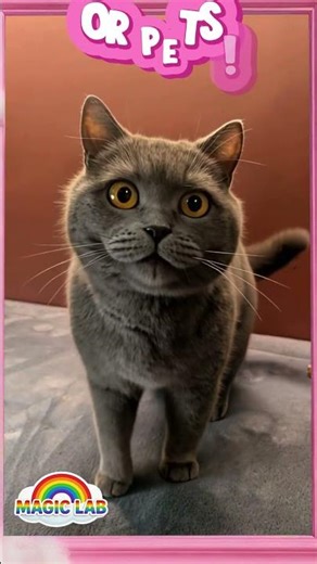 Trailer WithVoiceover