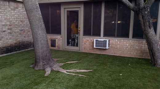 VID_20160804_192804951.mp4