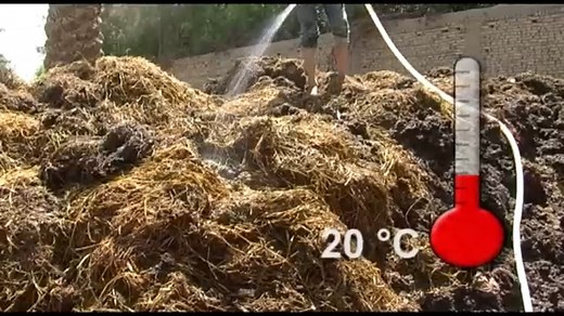 Compost From Rice Straw Small scale farmers can struggle to keep their soil healthy, and often resort to buying fertilisers to improve their yield, but with a bit of extra work to make compost, yield can be increased naturally and the soil improved year by year. To turn your rice straw into compost, requires a series of steps that control and accelerate the decomposition by microorganisms. With the right conditions, your compost will be ready in 4 months. | Farmvilla Resource Centre