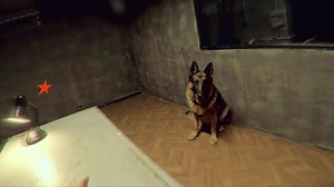 Вселенная ICTV представляет: ПЕС – 5 сезон