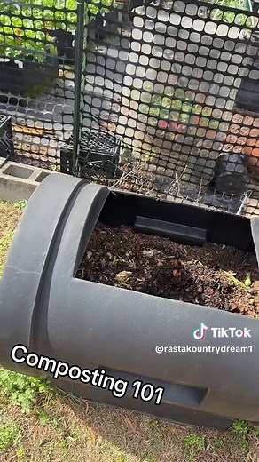 Composting 101: Simple Tips for Beginners