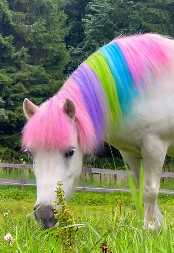 Explore Rainbow Supremacy with Lisa Frank Vibes