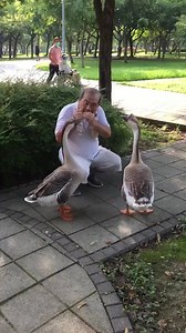 762K views · 27K reactions | Musik tut allen gut.  | Deutsch lernen mit vielen Übungen | Facebook