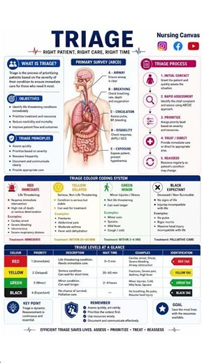 🚑🏥 TRIAGE – RIGHT PATIENT, RIGHT CARE, RIGHT TIME ⏱️🩺