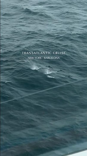 Would you do a transatlantic cruise? 🌊✨