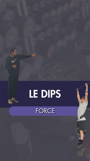 Rémy Denay | Coach Sportif on Instagram: "Le DIPS est un des exercices les plus complets du haut du corps. • Peu importe ton niveau, les dips ont toute leur place dans ta programmation. C’est l’un des rares exercices qui combine force globale, contrôle du corps et stabilité, avec une progression possible du débutant total jusqu’au niveau avancé grâce aux régressions et au lest. Les dips sont un véritable marqueur de niveau physique, pas juste esthétique. • Par contre, prends bien soin de les pro