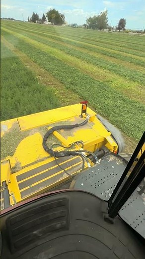 Much less money than a new swather and better than upgrading to another used swather