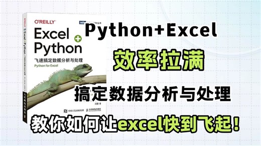 封神之作！《Excel Python飞速搞定数据分析与处理》建议想学Python的同学，都去死磕这本书！（数据分析|Python|Excel|数据处理教程）