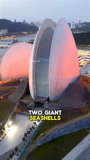 GIANT Sea shells , Zhuhai Grand Theatre #shorts