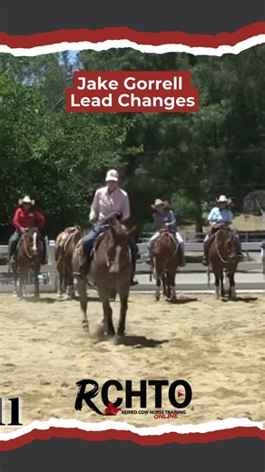 3.7K views · 52 reactions | Ever wonder why some horses kick out on...