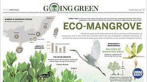 这种树又”man”又暖，你知道它是什么吗？