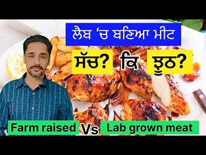 ਮੀਟ ਵੀ ਫ਼ੈਕਟਰੀਆਂ ‘ਚ ਬਣਿਆ ਕਰੂ ਹੁਣ। Lab grown meat